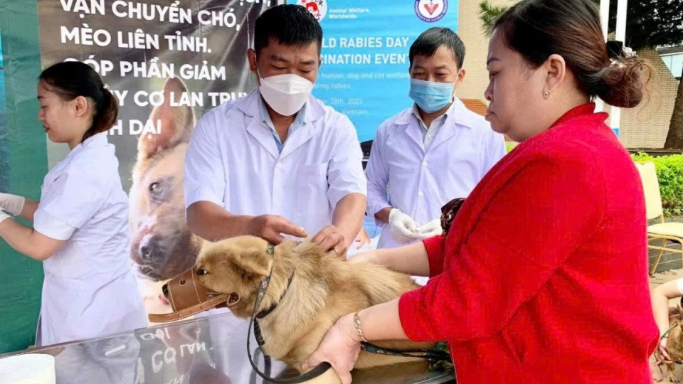 Rabies remains a serious threat in Vietnam, warns expert